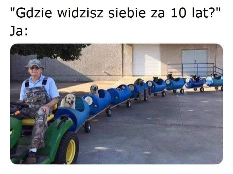 Meme A